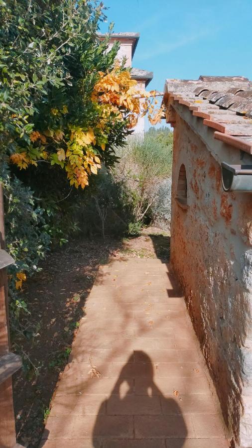 Cosy Country Room Garden Sovicille Kültér fotó
